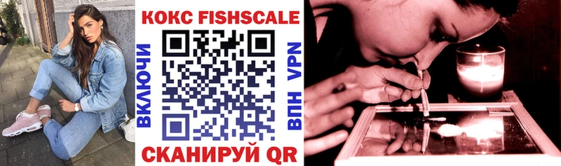Купить закладки  Сафоново  COCAIN 98% 