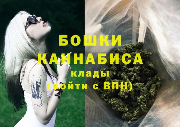 мдма Новодвинск