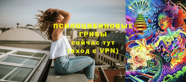 мдма Новодвинск