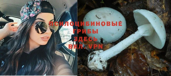 COCAINE Новозыбков