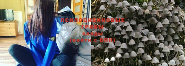 COCAINE Новозыбков