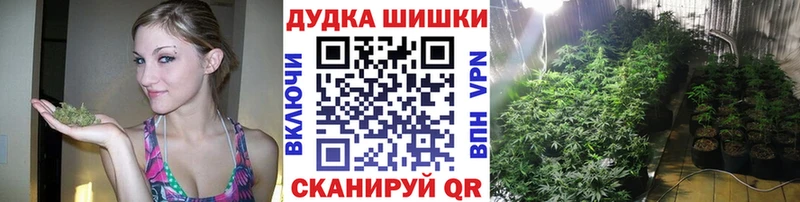 Купить где  Сафоново  Шишки марихуана семена 